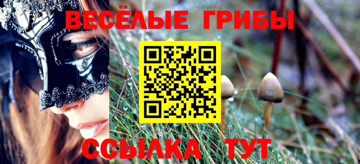 Мичуринск  Псилоцибиновые грибы мицелий  Вход с VPN 