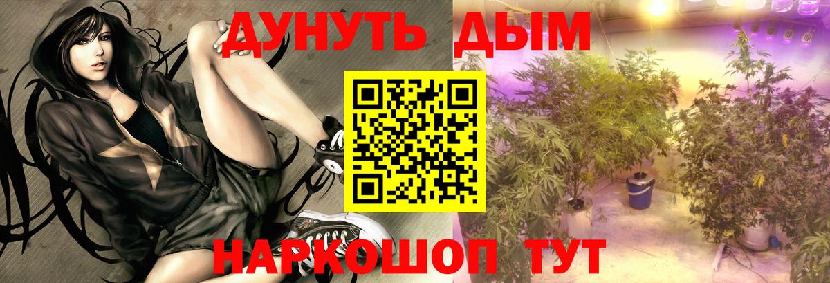 Каннабис SATIVA & INDICA Мичуринск